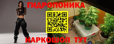 гашик Лесосибирск